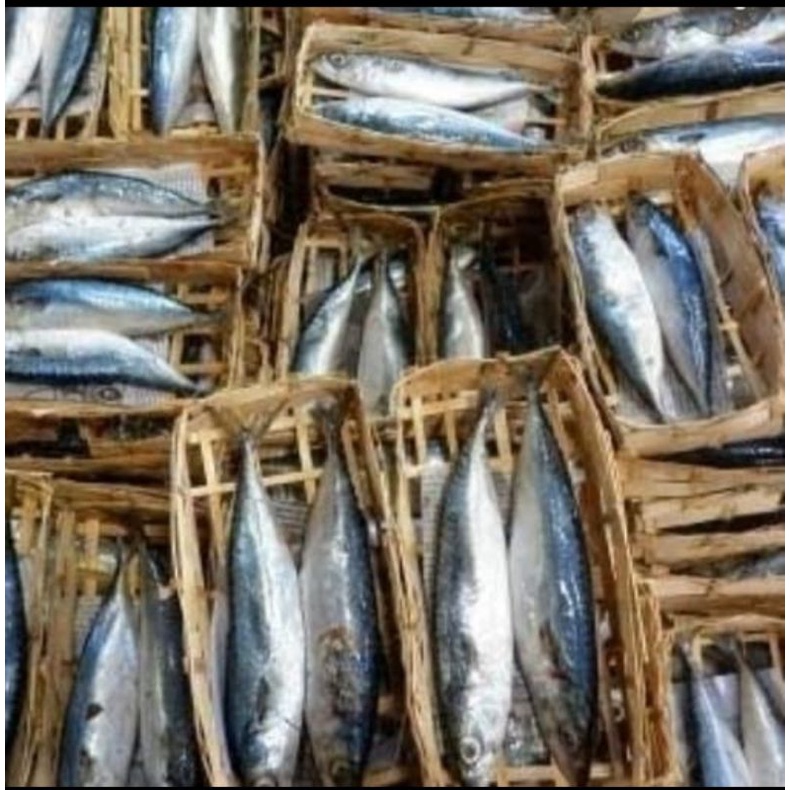 

ikan keranjang isi 2 Rp 6000