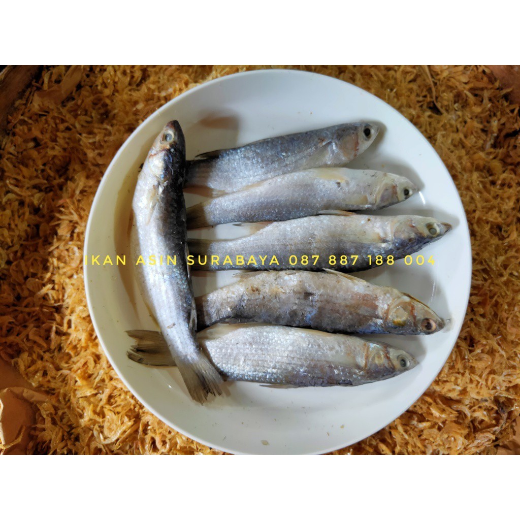 

Ikan Badut Kering (Kemasan plastik vacuum press)