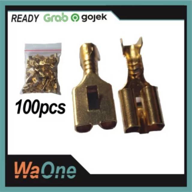 [Gepeng 6.3 isi 100] Skun Gepeng Male Atau Female Standar