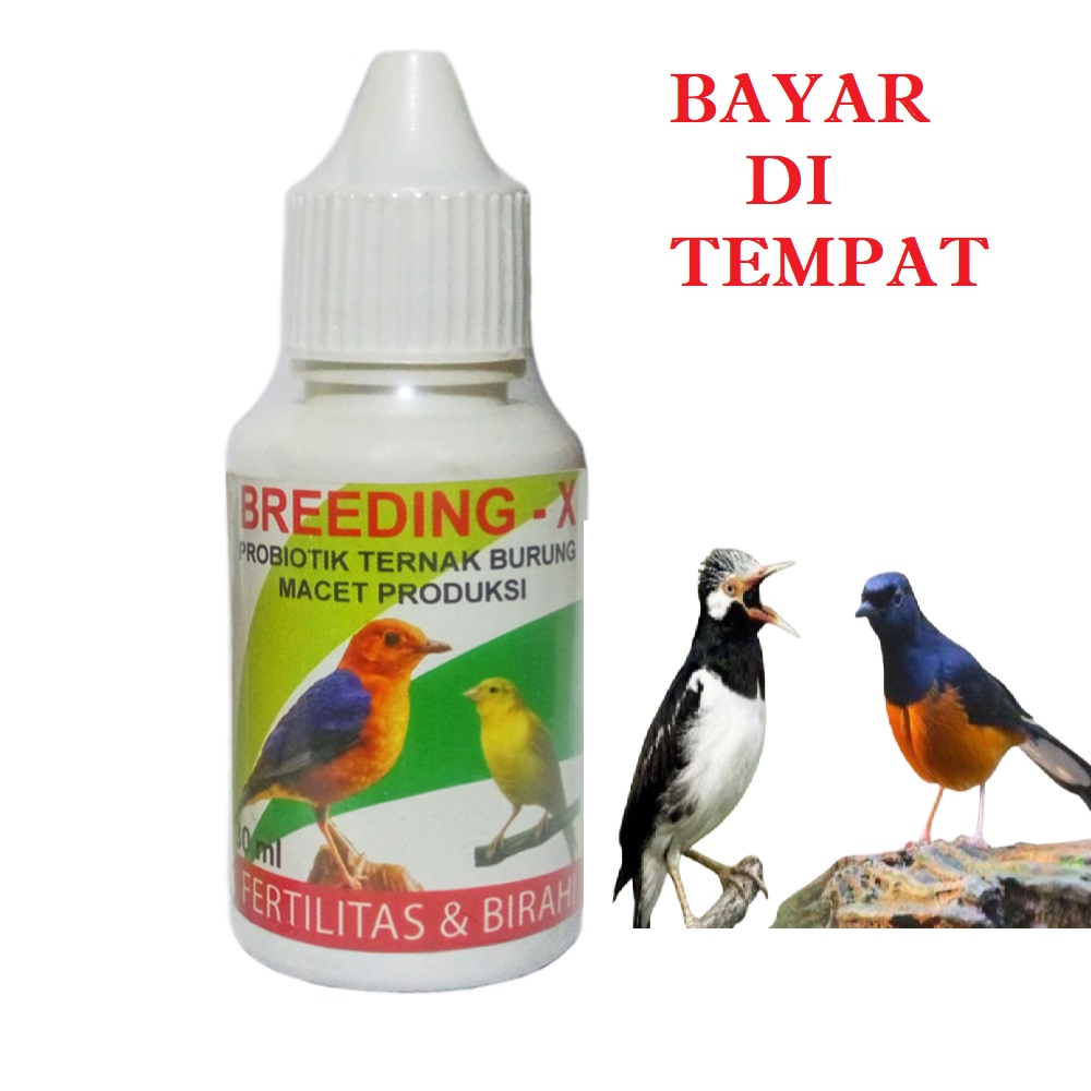 BREEDING X VITAMIN BURUNG TERNAK CEPAT KAWINOBAT BIRAHI BURUNG MURAI KACER LOVEBIRD ANIS AMPUH