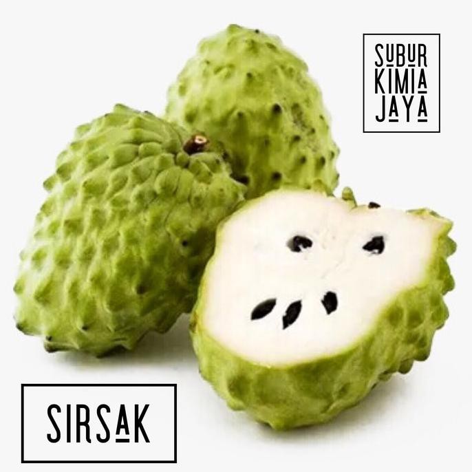 

31.87-Kue- Sirsak Flavor Pure / Essence Sirsak 30 Ml -Terlengkap-Termurah-Dijamin.