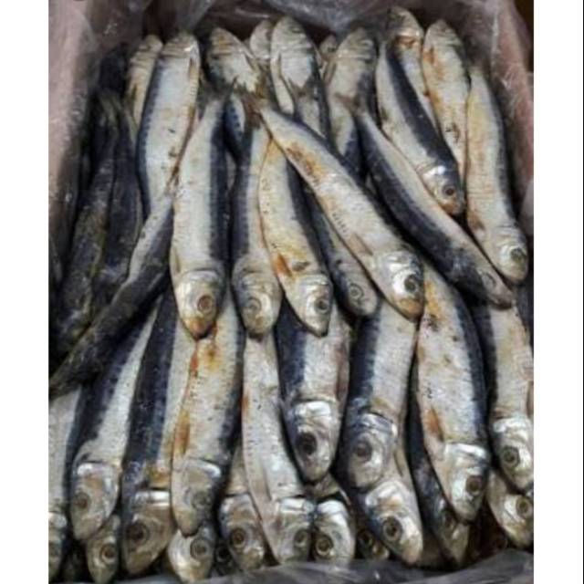 

Ikan Asin Japuh Layang