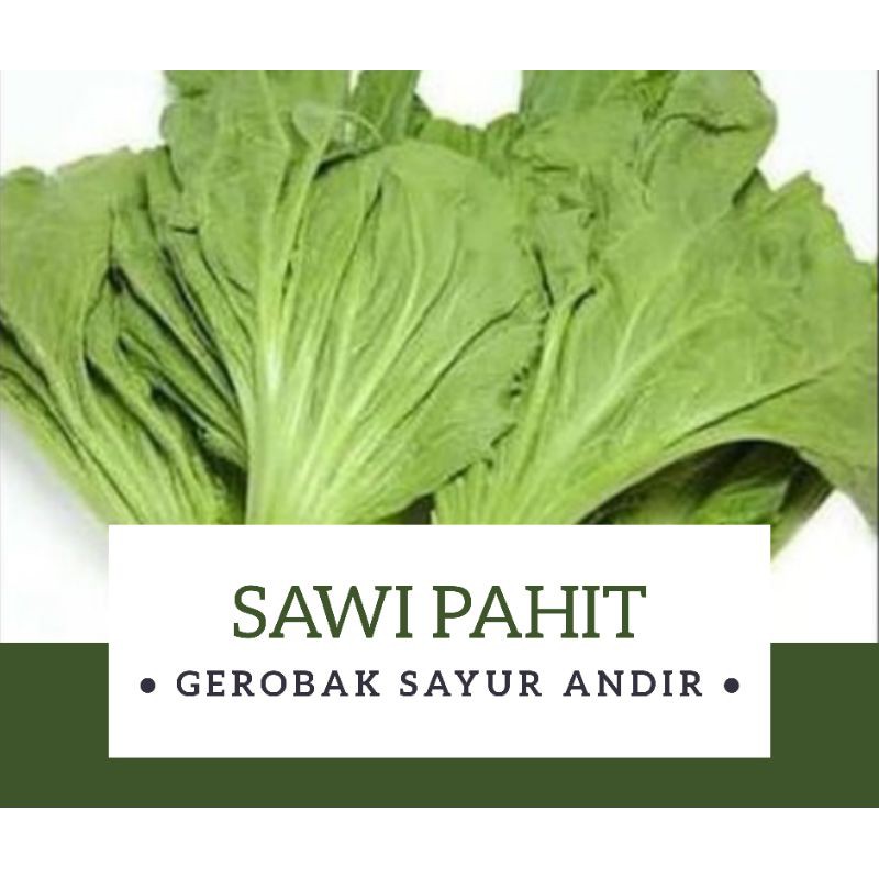 

Sawi Pahit / Jabung /500gr