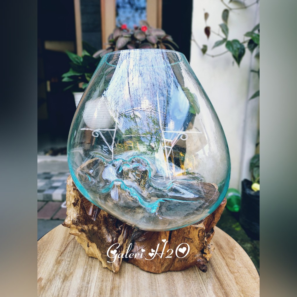 AKUARIUM IKAN CUPANG - SIZE 25 CM / AQUASCAPE / AQUARIUM AKAR KAYU / REAL PICTURE A