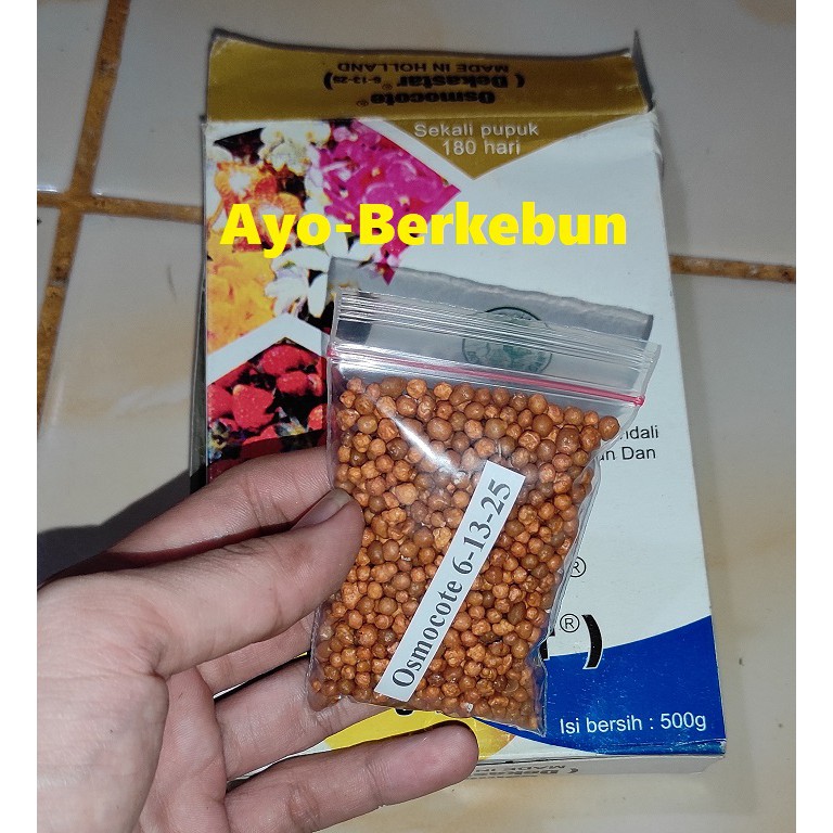 repacking pupuk dekastar 6-13-25 / pupuk osmocote 6-13-25 50 gram - dekastar bunga dan buah / pupuk 