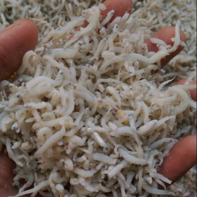 

Ikan Teri Medan per pack 500 gram