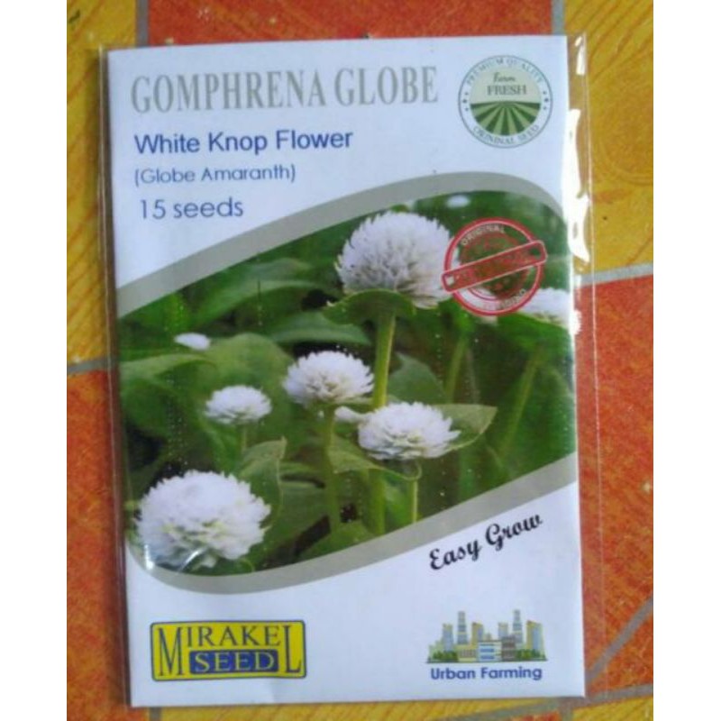 

1Pack Gomphrena Globe