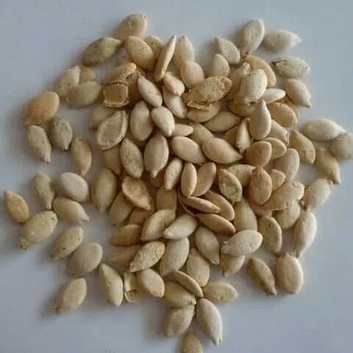 

1KG 1 KG DONG GUA REN WAXGOURD SEED BENINCASA SEEDS WINTER MELON