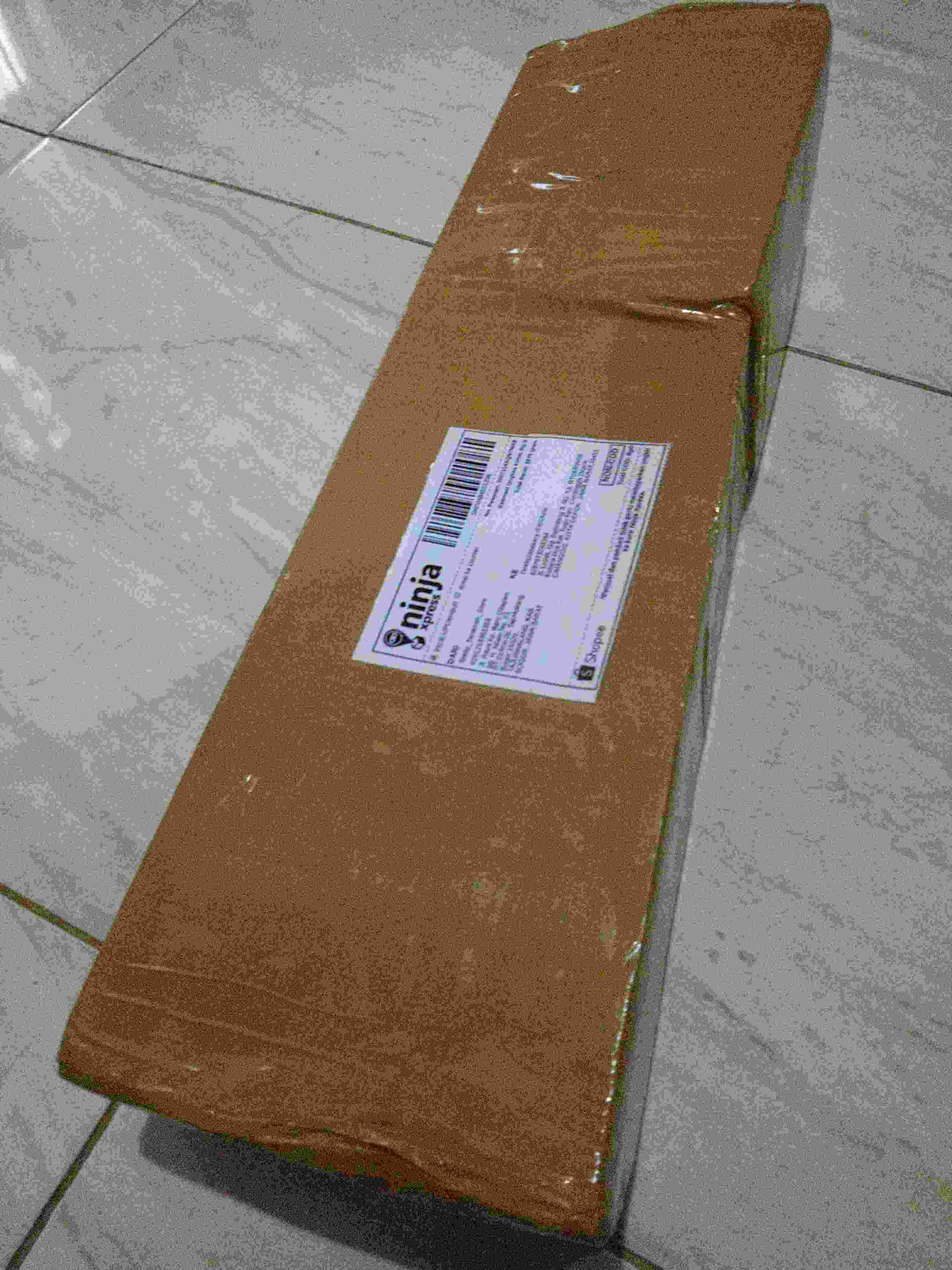 Tanaman Hias Soka Jambon Bunga Putih