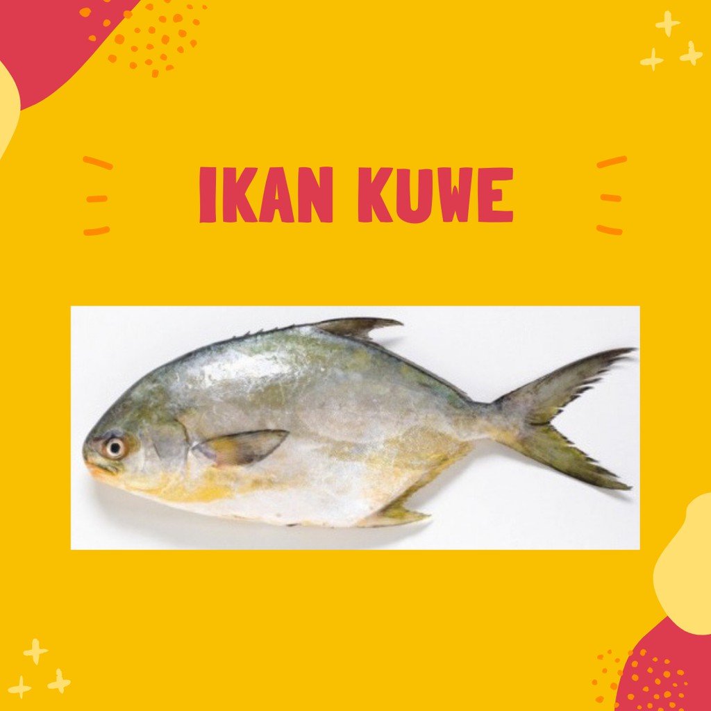 

Ikan Kuwe/ kue