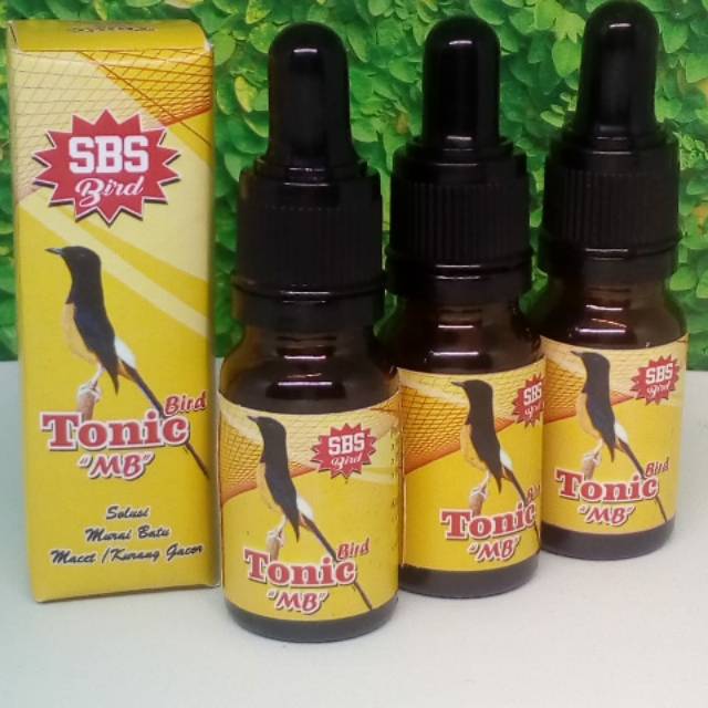 Sbs Bird Tonic Bird Atasi Merai Batu Macet jadi Bunyi