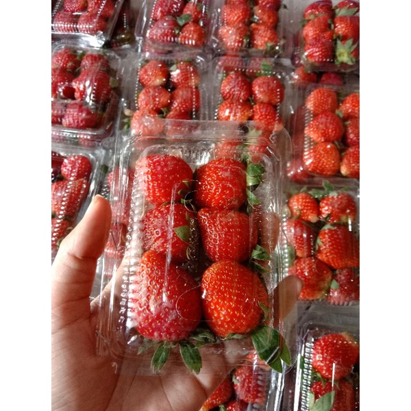 

STRAWBERRY SEGAR MIKA 100GR