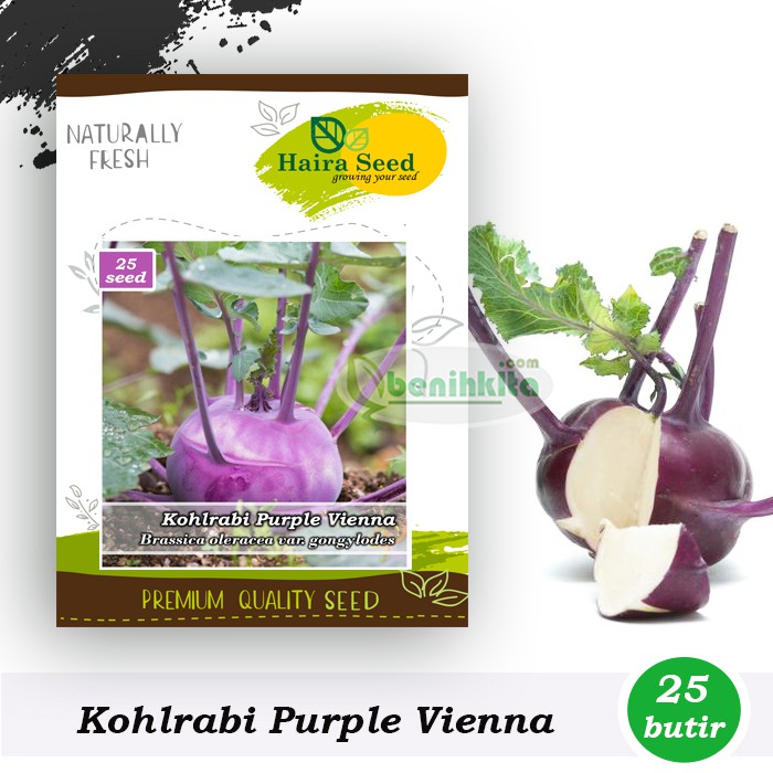 Benih-Bibit Kohlrabi Purple Vienna (Haira Seed)