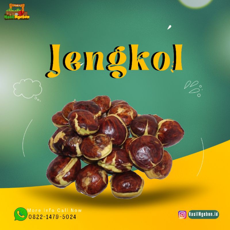 

JENGKOL 250GR