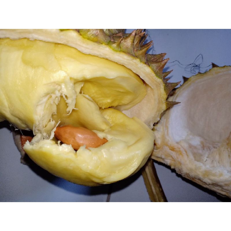 

DURIAN MONTONG KANE KUPAS DENPASAR