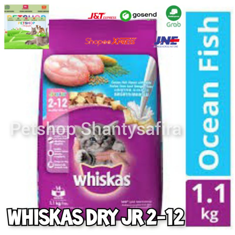 MAKANAN KUCING WHISKAS JUNIOR DRY 1.1 KG/ WHISKAS KERING JUNIOR MACKEREL OCEAN FISH 2-12 bulan