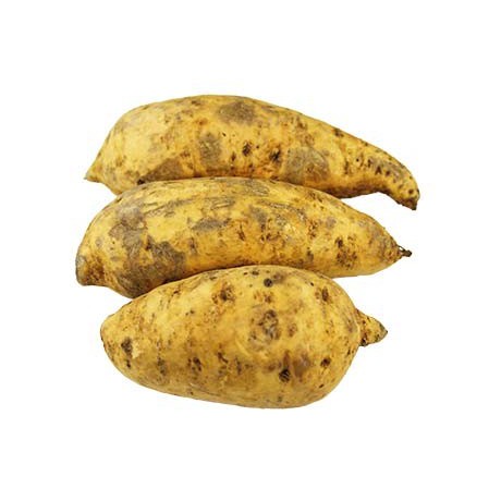 

Ubi Cilembu Mentah 1kg Huwi Cilembu Lembut Manis 1kg