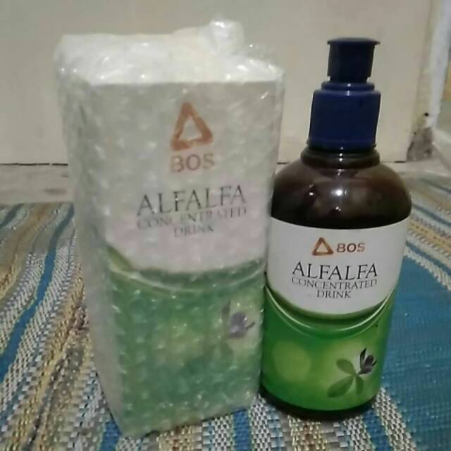 Alfalfa untuk promil & kesuburan termurah