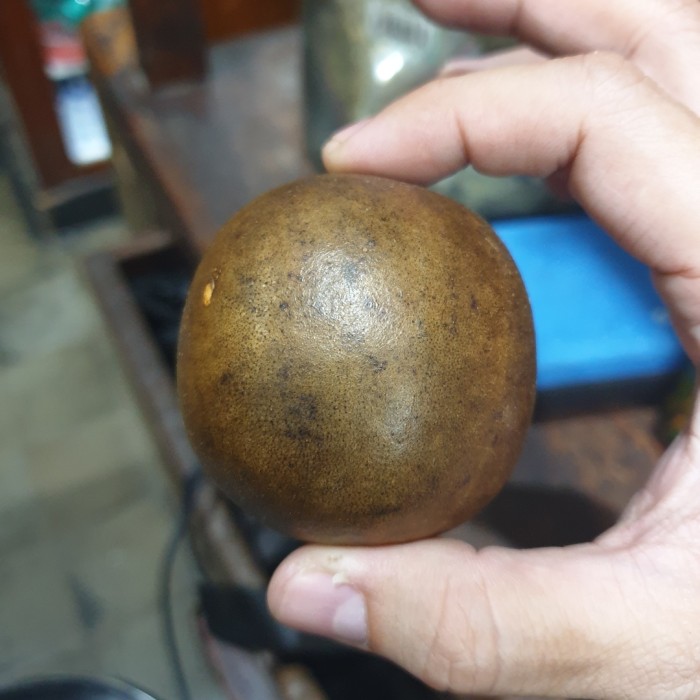 

BUAH LOHANKUO ALAMI HERBAL