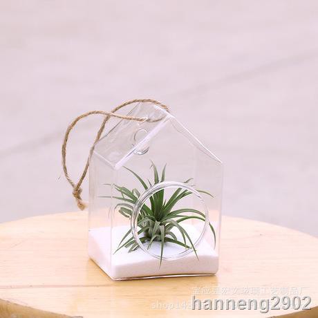 Hwsg Vas Bunga iHidroponiki iGantungi Bentuk iBotoli Kaca Gaya Hwsg Vas Bunga iHidroponiki iGantungi Bentuk iBotoli Kaca Gaya