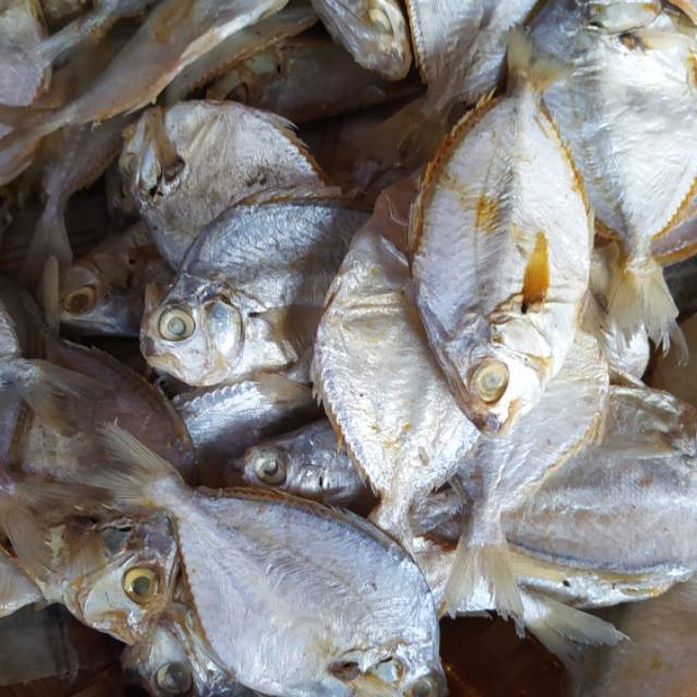 

Ikan Asin Petek / Ikan Petek Asin Segar Berkualitas