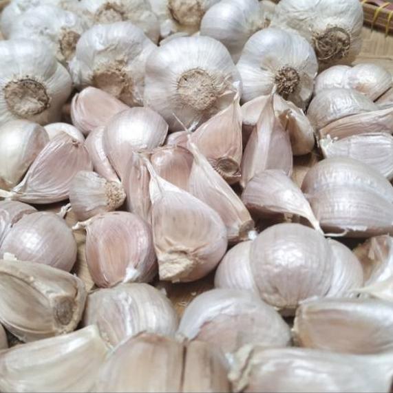 

10.10 Brand Bawang Putih Kating 500gr 