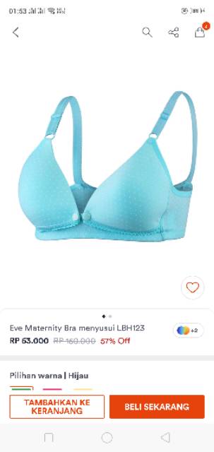 BH Menyusui bh eve maternity bu jumbo bh ibu kekinian