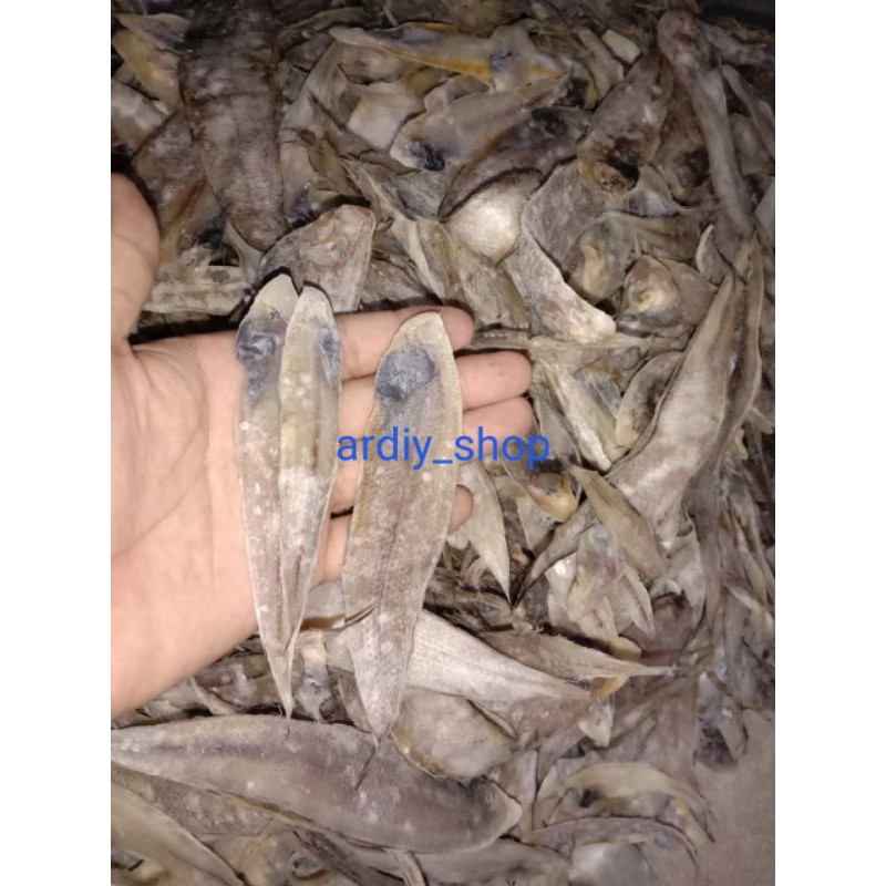 

ikan lidah tawar kering berat 1 Kg / 1000 Gram Termurah