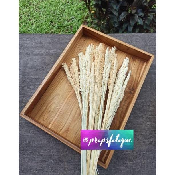 ~~~] WOW Nampan Kayu JATI RUSTIC