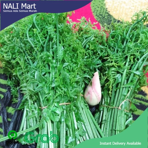 

Daun Pakis Sayur Online Sayur Segar 1 Ikat