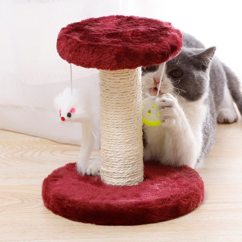 Cat Condo Tangga Loncat Tidur Kandang Interaktif Untuk Kucing