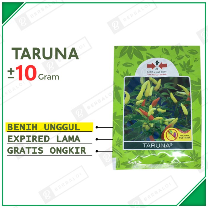 Taruna Benih Cabai Cabe Rawit Unggul Bibit Cabe Cabai Rawit Hibrida