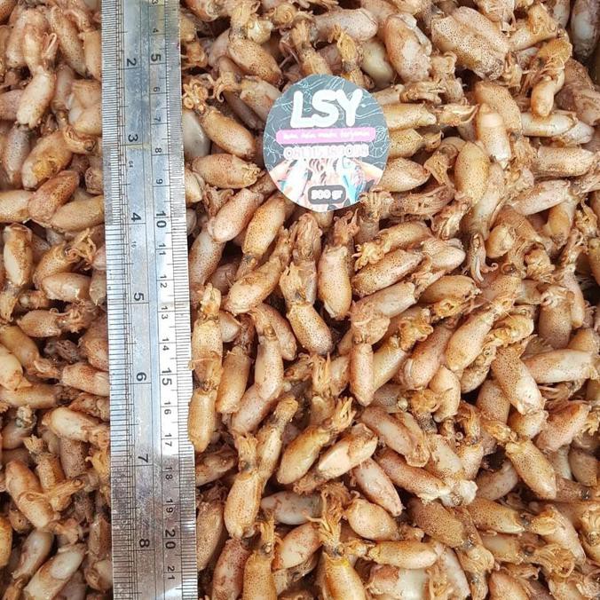

baby cumi ukuran 2-3cm 500gr