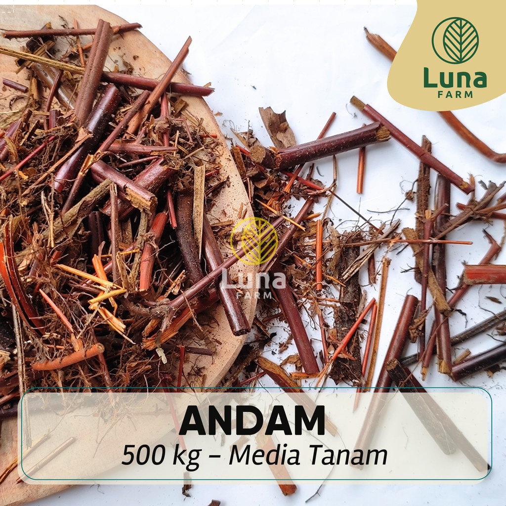 Andam Media Tanam Andam 500 gram