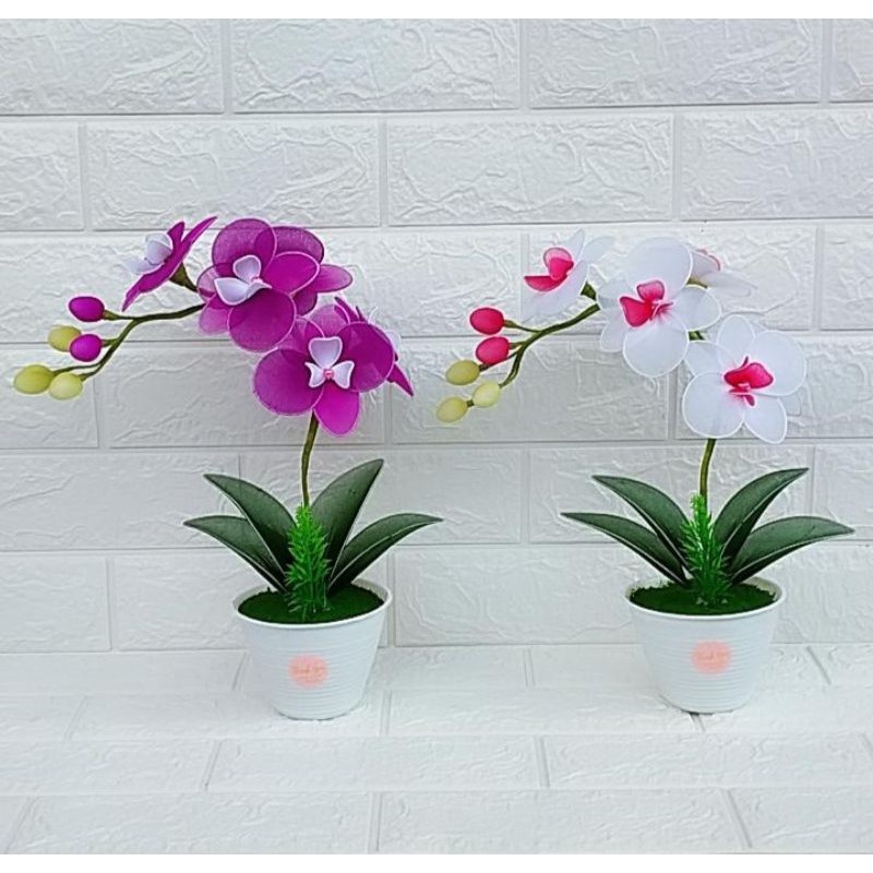 Bunga hias murah / bunga Anggrek stoking