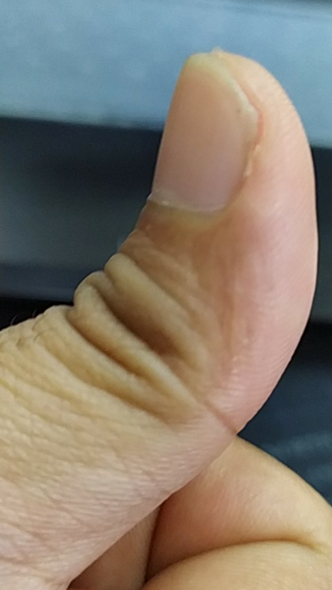 Sarung Tangan Karet Cuci Motor Mobil Piring Rubber Glove Serba Guna - Random