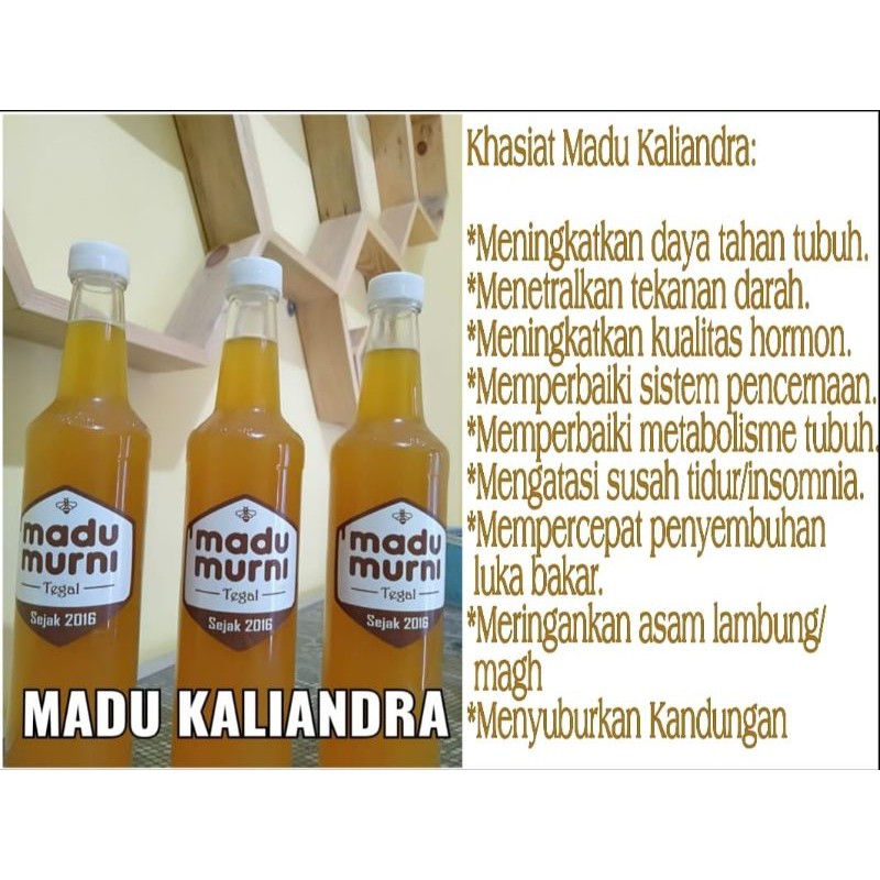 

MADU MURNI 100 % | MADU KALIANDRA | MADU MURNI TEGAL