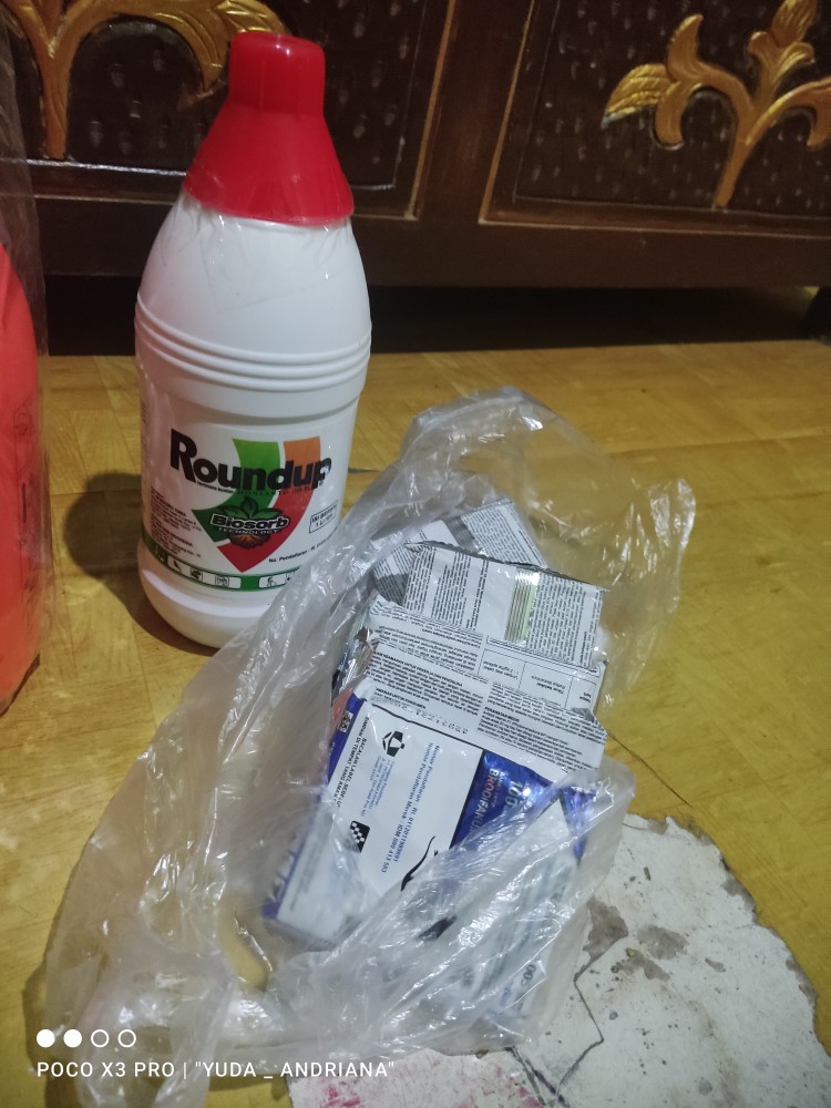 Petrokum 100 Gr Racun Tikus Mati Kering Tidak Bau