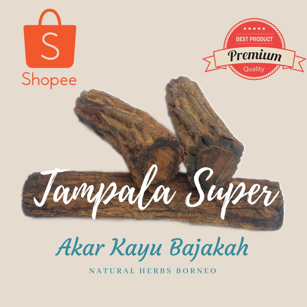

TAMPALA SUPER BATANGAN KERING 1000gr