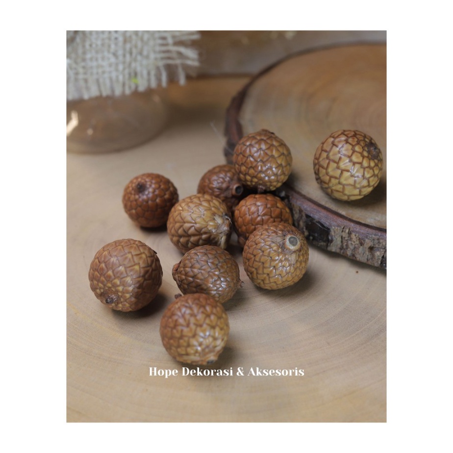 

Jual BIJI ROTAN BIJI SALAK KERAJINAN isi 10 biji Berkualitas