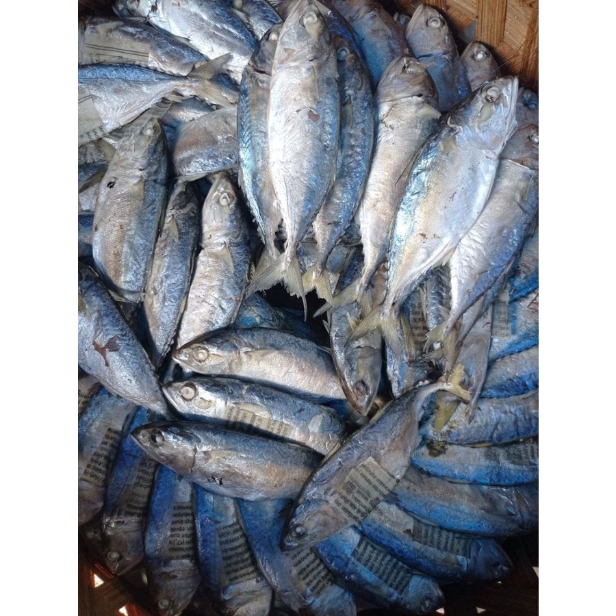 

Kembung Rebus Besar/6ekor