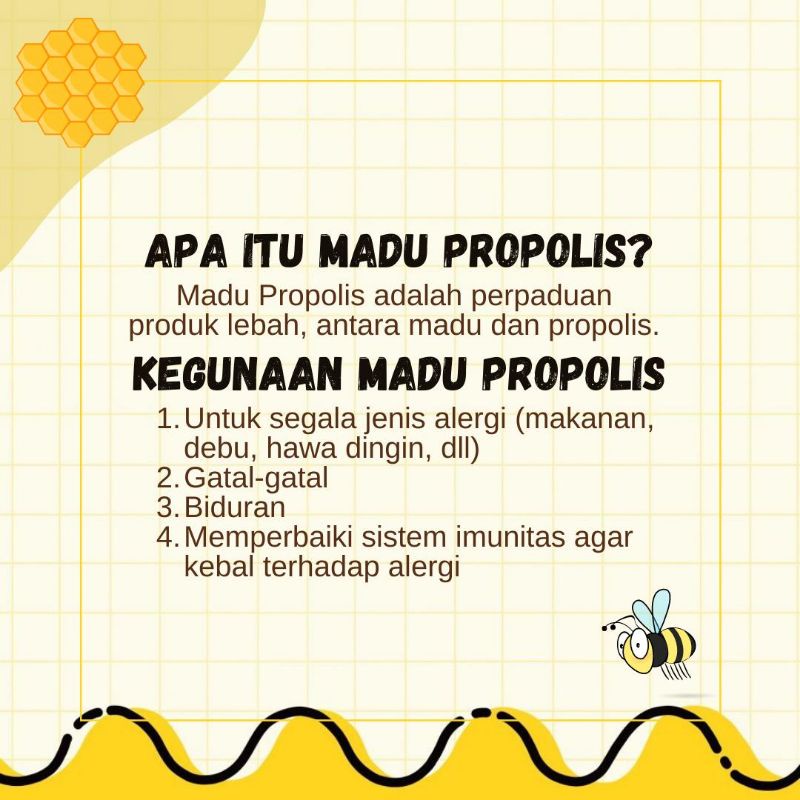 Olivoliv Snack Madu Propolis Alergi - Peternakan Tawon Rimba Raya 310 Ml Kemasan Botol Kaca