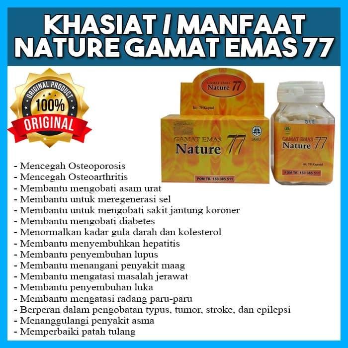 Kapsul Ekstrak Gamat Emas Nature 77