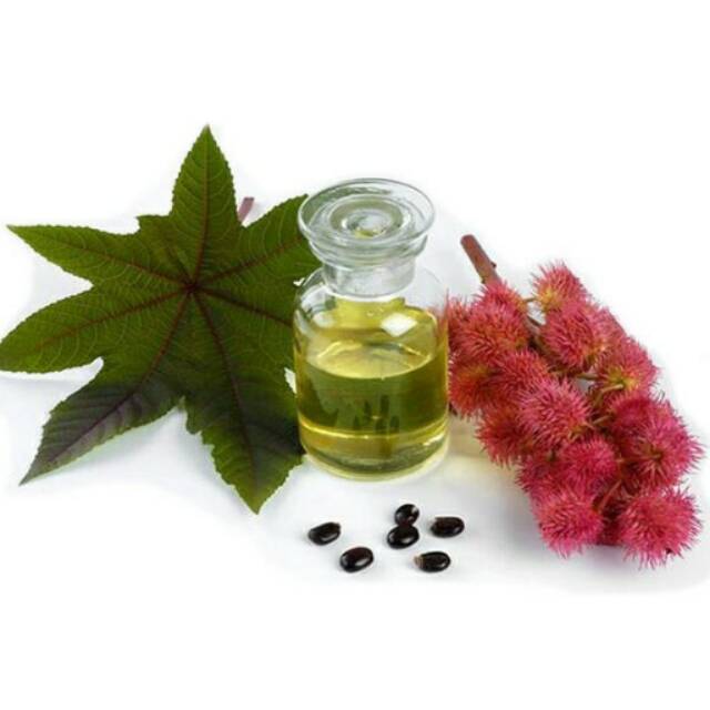 Castor Oil Minyak Jarak Jamin Murni Original 100%