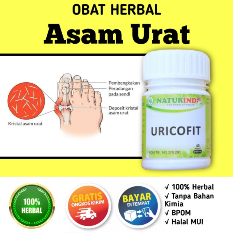 

OBAT ASAM URAT HERBAL AMPUH KAKI BENGKAK NYERI SENDI PELURUH KRISTAL PURIN URICOFIT NATURINDO COD