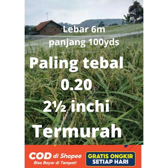 JARING BURUNG PIPIT BURUNG SAWAH/ PERKUTUT/ KELELAWAR/ TEKUKUR/ PELINDUNG BAWANG HIGH QUALITY UKURAN 020MM 100 X 100 YDS TERLARIS COCOK UNTUK MENANGKAP KELELAWAR / PELINDUNG PADI / TANAMAN DARI SERANGAN BURUNG / HAMA