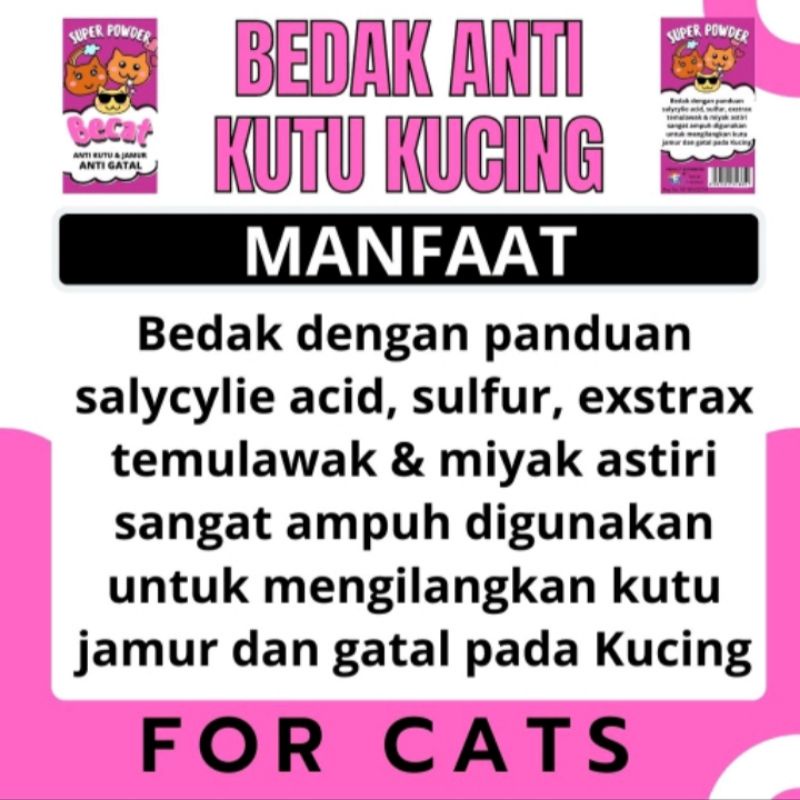 BEDAK ANTI KUTU KUCING ANJING AMPUH DAN AMAN WALAUPUN TERJILAT