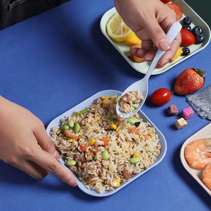 OSM JKT H5233 Piring Jerami Persegi / Piring Saji / Piring Buah / Wadah Buah / Piring Snack / Piring Plastik-5