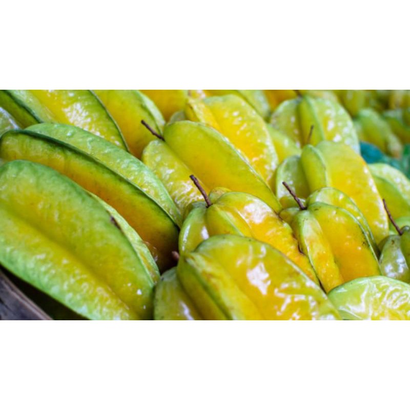 

BELIMBINGDEMAKSUPERBESAR