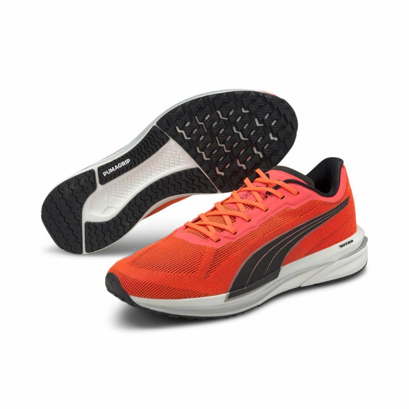 puma velocity nitro spectra